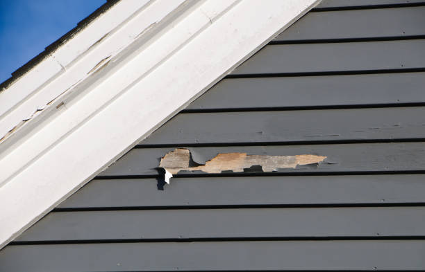 Trusted Estell Manor, NJ Siding Installation & Repair Experts